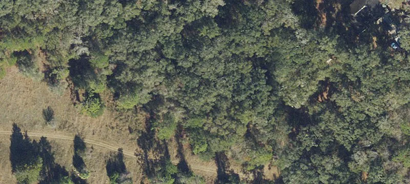 Wooded Land with Freshwater Creek