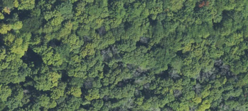 Wooded Recreation Land