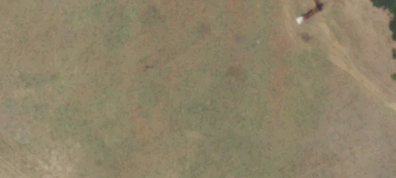 Land