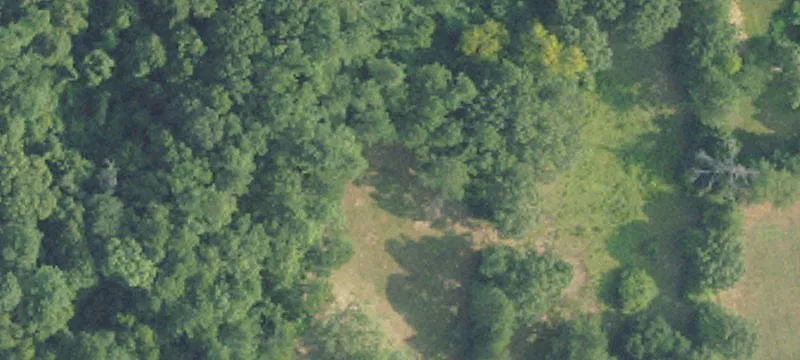Timberland Hunting Tract