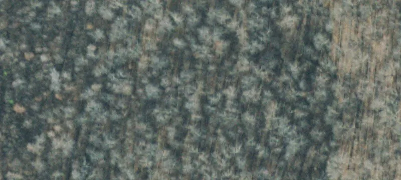 Land or Vacant Lot