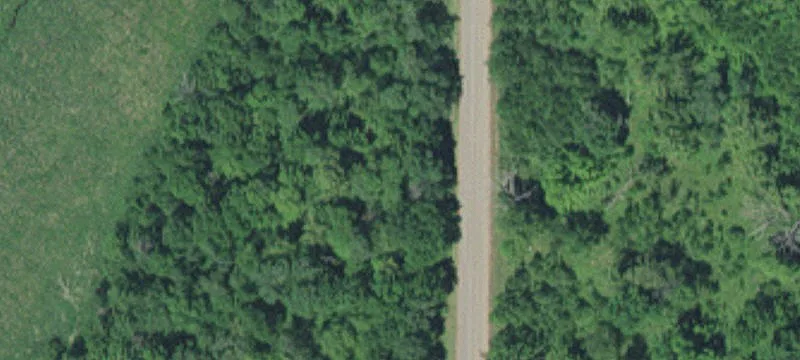 Wooded Hunting Land