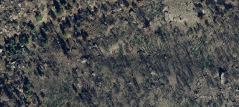 High-Country Hunting Land