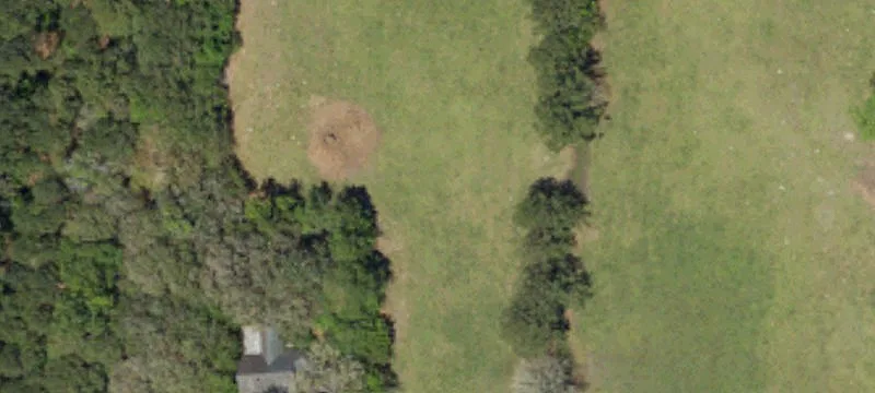 Hunting Land with Pheasant Tower