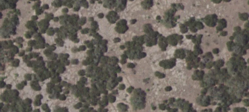 Farm/Ranch