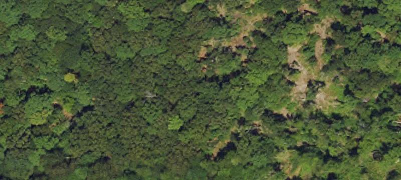 Land/Lot