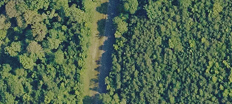 Timbered Hunting Land with Lodging