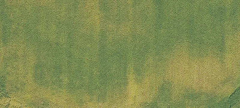 Land/Lot