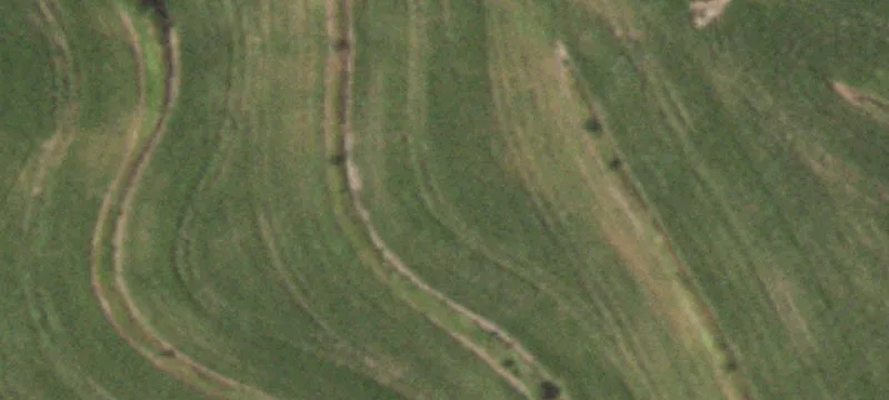 Private Hunting Land