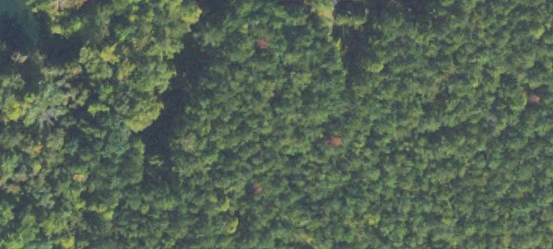 Land/Lot