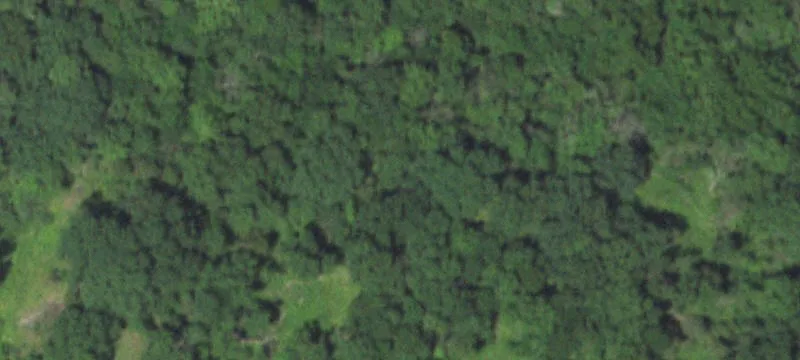 Farm Property With Agricultural Outbuilding