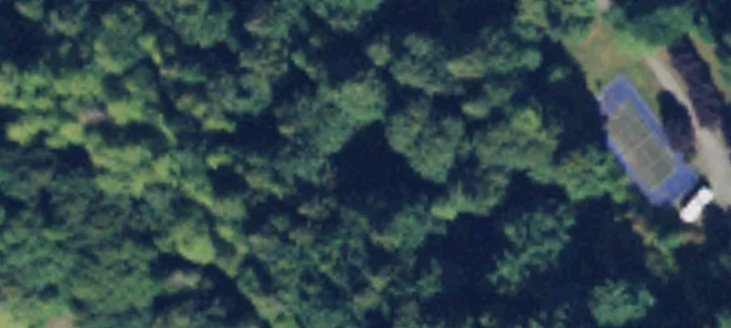 Level, Heavily Treed Land Parcel
