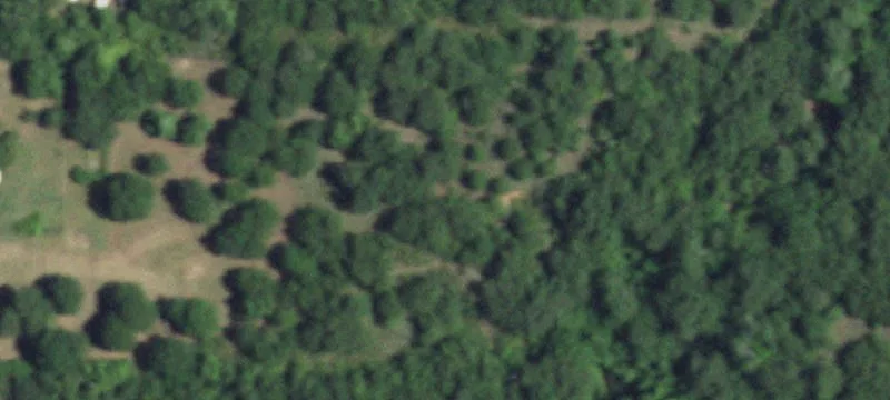 Equestrian Property with Rodeo Arena