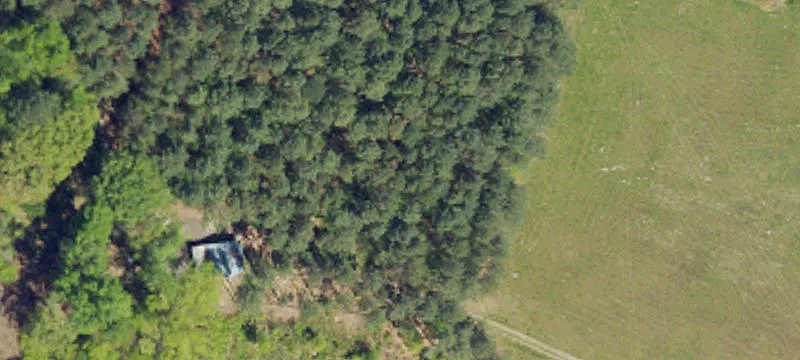 Agricultural Land with Pasture and Woods