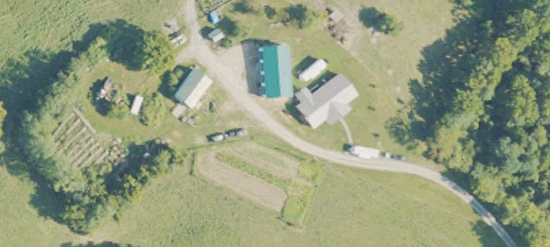 Wooded Hunting Land