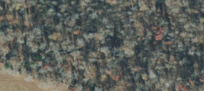 LAND