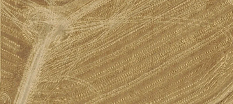 Dryland Wheat Farm with Farmhouse