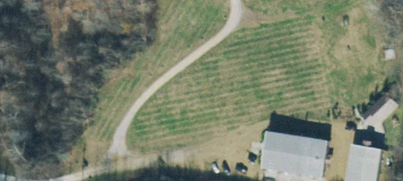 Vineyard With Event Venue