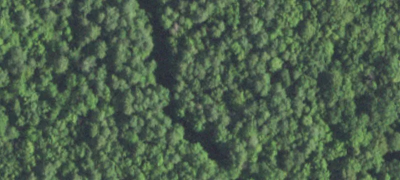 Hunting Land with Rustic Cabin