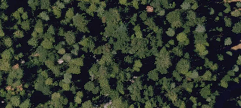 Land/Lot