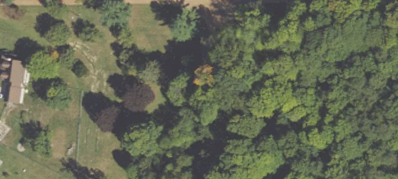 Wooded-Edge Agricultural Land