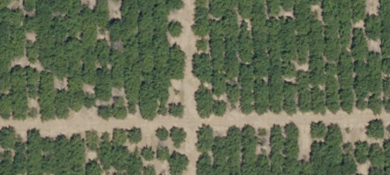 Agricultural Farmland with Water Rights