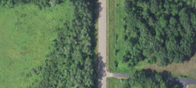 Hunting Land with Diverse Habitat