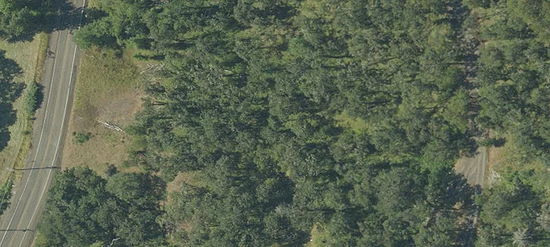 Land