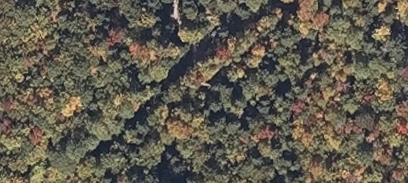 Mountain Hunting Land
