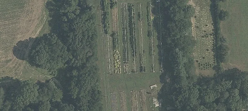 Mostly Cleared Farmland