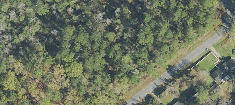 Land Parcel with Wetlands