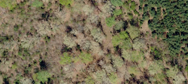 Commercial Land with Road Frontage
