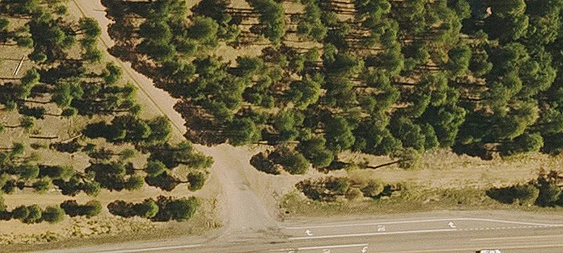 Wooded Commercial Corner Lot