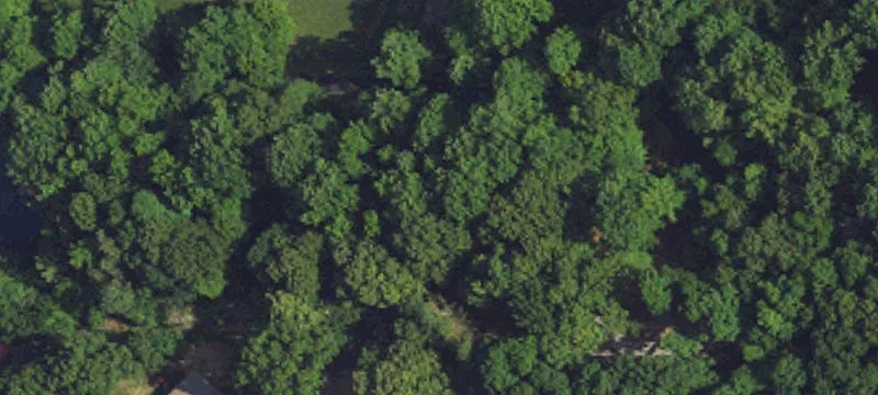Land/Lot