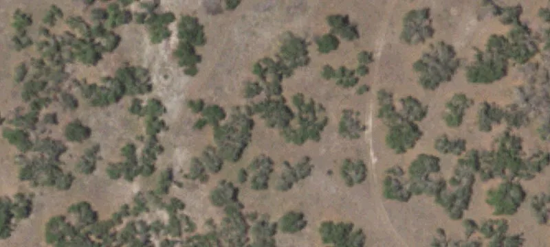 Working Ranch with Agricultural Improvements