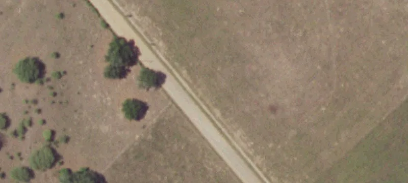 Wooded Farm with Pasture