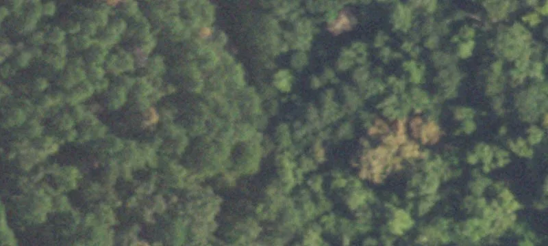 Vacant Land