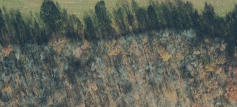 Rolling Farmland with Improvements
