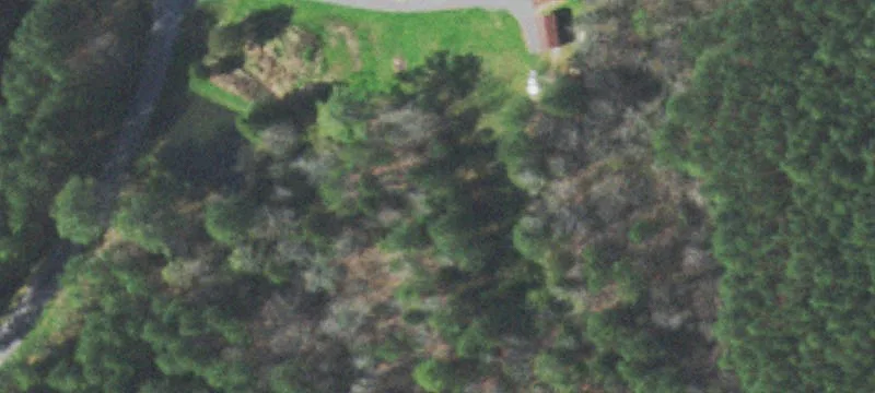 Lots & Acreage