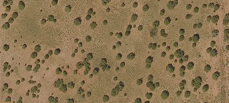 Land/Lot