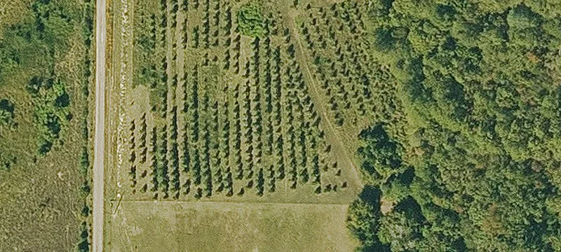 Vacant Land