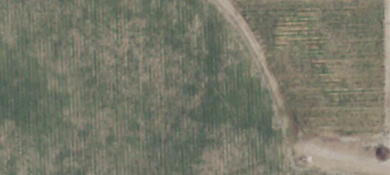Agricultural Land with River Views