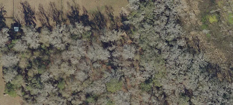 Land