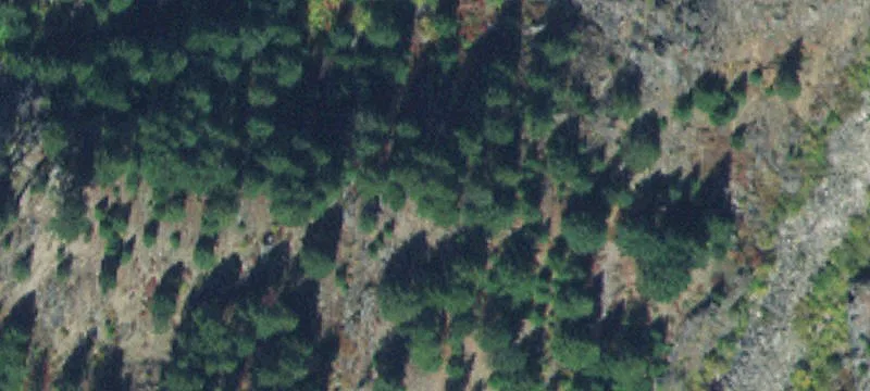 Five-Building Hotel Property