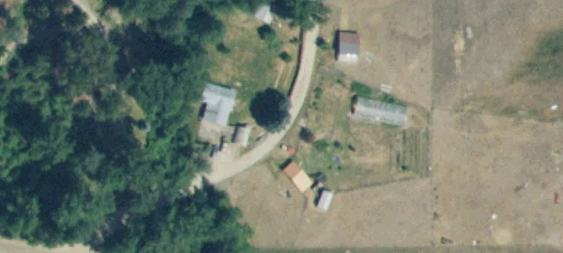 Timbered Land with Well