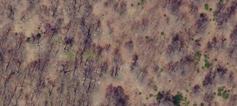 Vacant Land
