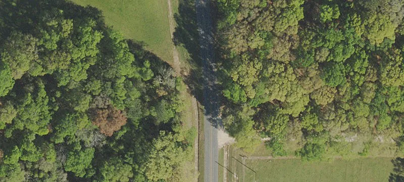 Hardwood Timber and Pasture Tract