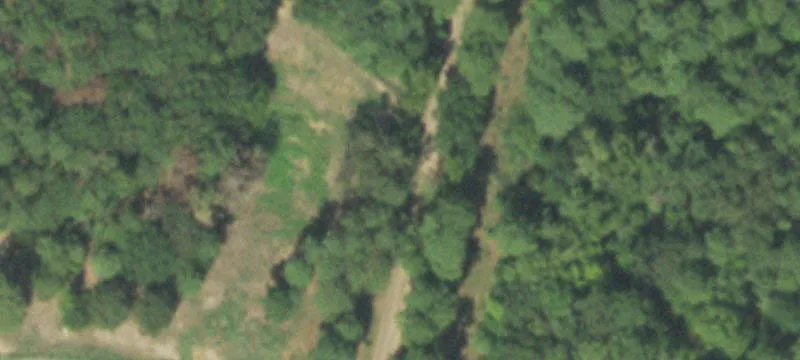 Wooded Recreational Land