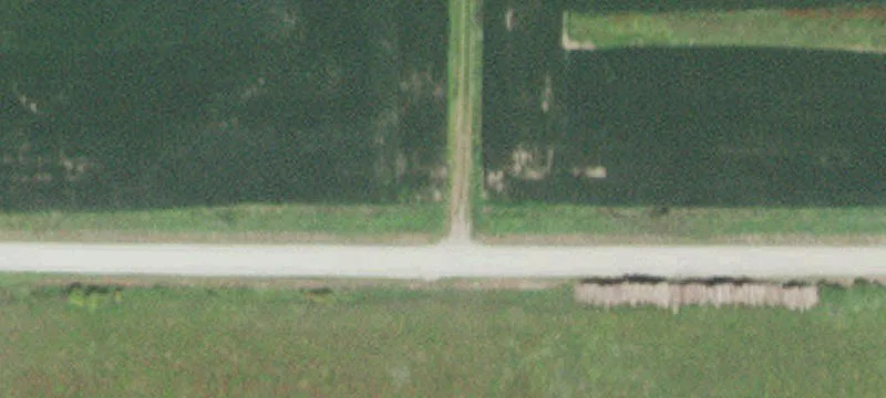 Large Timber Hunting Land