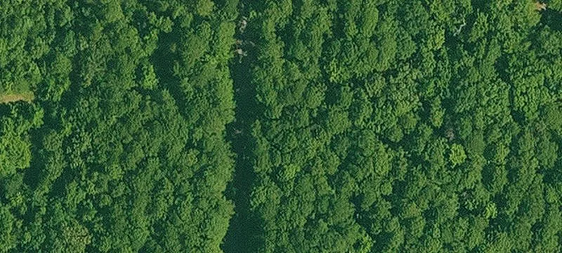 Vacant Land